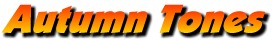 Autumn Tones